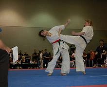 Image result for Karate Kick to Face