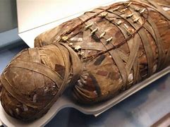 Image result for Mummies Found in Egypt
