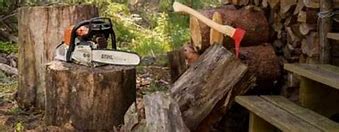 Image result for Chainsaw Repair Rockville Indiana