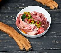 Image result for Raw Dog Food Sample Diet