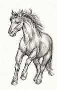 Image result for Horse Running Drawing