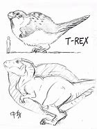 Image result for Feathered T-Rex Meme