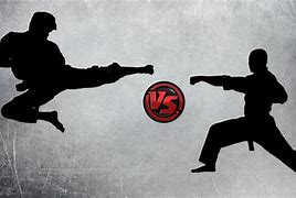 Image result for Karate or Taekwondo