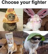 Image result for Choose Your Fighter Cat Meme