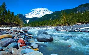 Image result for Stone with River Rock Inclisions