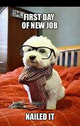 Image result for Accepting New Job Meme