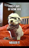 Image result for Time for a New Job Meme