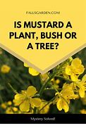 Image result for Giving Someone Advice Mustard Tree Meme