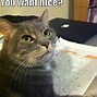 Image result for Bad Day Funny Animal Memes