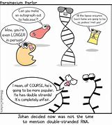 Image result for Corny DNA Biology Jokes