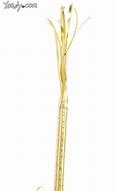 Image result for Cat Nine Tails Whip Gold Weapon