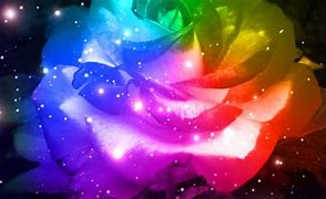 Image result for Rainbow Galaxy Rose