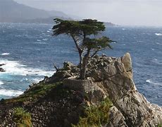 Image result for Pebble Beach CA
