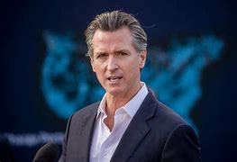 Image result for Gavin Newsom 2024