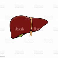 Image result for Organs Coloring