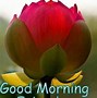 Image result for Good Morning Message to My Dear Friend