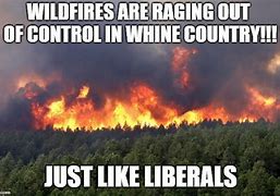 Image result for Forest Fire Meme