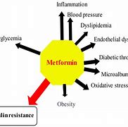 Image result for Diabetes Mellitus Metformin