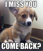 Image result for Miss You Already Meme
