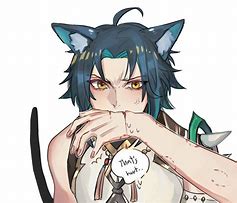 Image result for Catboy Xiao