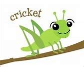 Image result for Cricket Insect Outline