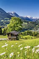 Image result for Local Nature Vacation