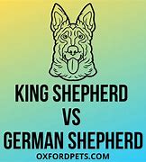 Image result for German Shepherd Stalker Meme
