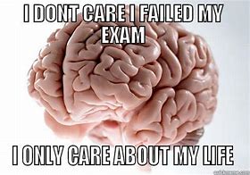 Image result for Failed Exam Cat Meme Crying