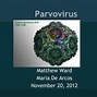 Image result for Parvovirus B19 and 5th