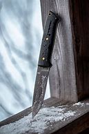 Image result for Alaskan Bush Knife