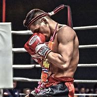 Image result for Muay Thai Head Kick