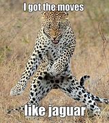 Image result for Jaguar Surprised Meme