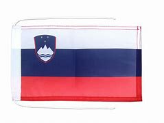Image result for Small Slovenia Flag