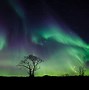 Image result for Beautiful Aurora Borealis with Snow