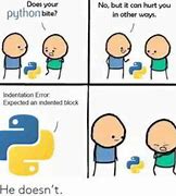 Image result for Python Coding Memes