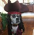 Image result for Funny Dog Halloween Costumes