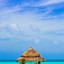 Image result for Beach Cell Phone Wallpaper