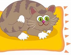 Image result for Fat Cat Earth