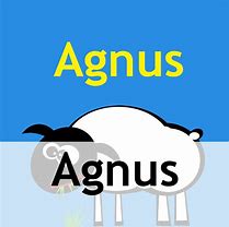 Image result for agnusx�i
