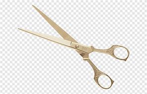 Image result for Gold Scissors for Year 7