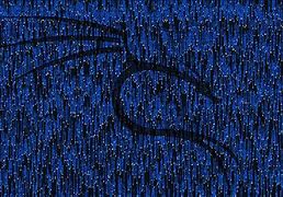 Image result for Kali Linux Blue Wallpaper