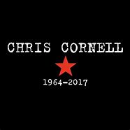 Image result for Chris Cornell Todesursache