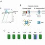 Image result for Ion Channel Structure