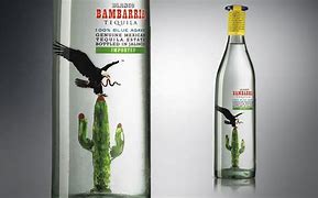 Image result for bambarria