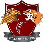 Image result for Gully Cricket