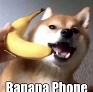 Image result for Overwhelming Phone Calls Meme