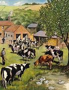 Image result for 1960s Movie On a Dairy Farm
