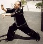 Image result for Hung Gar Kung Fu Poses