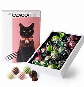 Image result for Cacaocat