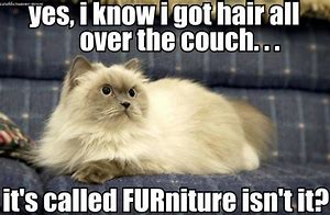Image result for Funny Furniture Quotes